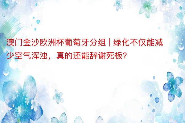 澳门金沙欧洲杯葡萄牙分组 | 绿化不仅能减少空气浑浊，真的还能辞谢死板？