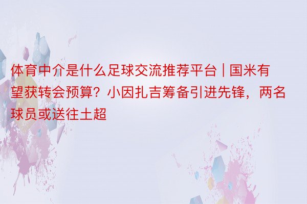 体育中介是什么足球交流推荐平台 | 国米有望获转会预算？小因扎吉筹备引进先锋，两名球员或送往土超