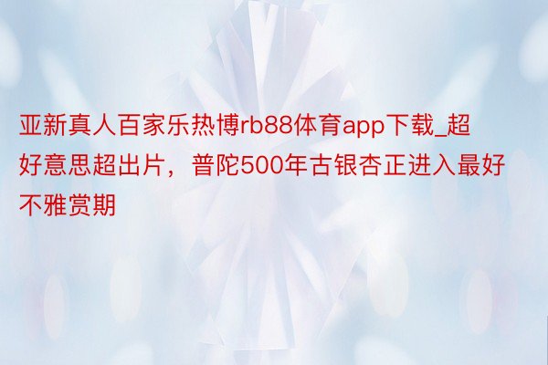 亚新真人百家乐热博rb88体育app下载_超好意思超出片，普陀500年古银杏正进入最好不雅赏期